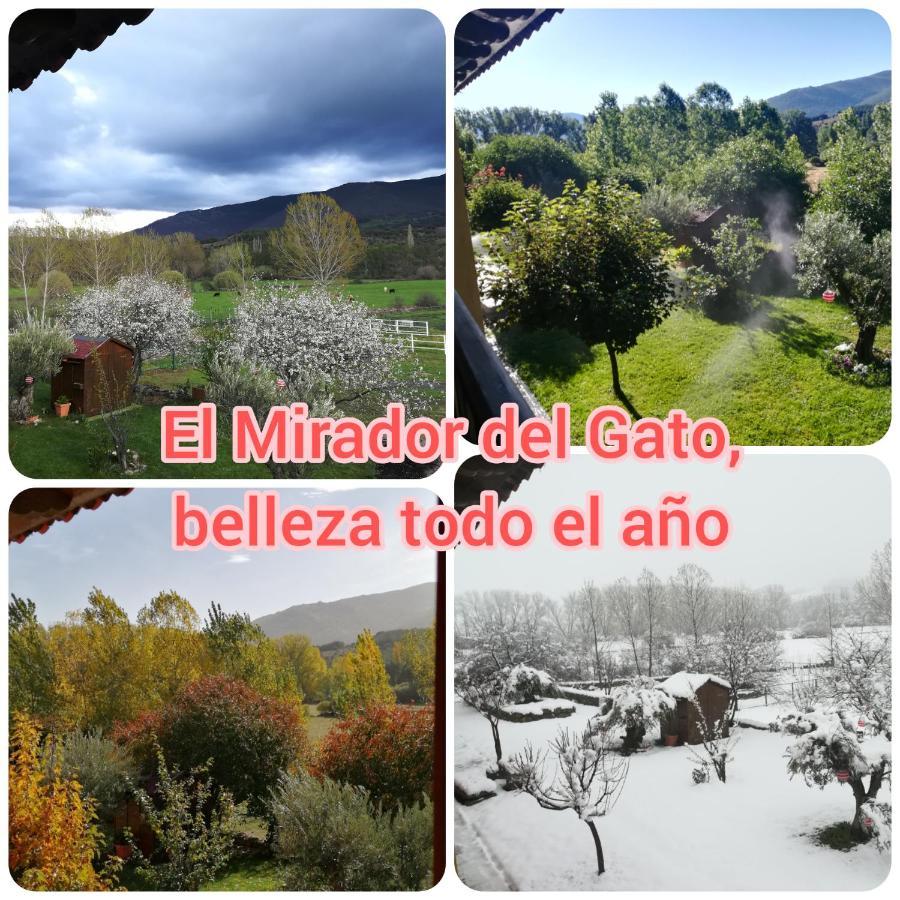 El Mirador Del Gato I Y II Villa Mesegar de Corneja Bagian luar foto
