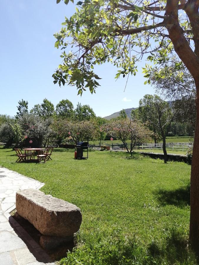 El Mirador Del Gato I Y II Villa Mesegar de Corneja Bagian luar foto