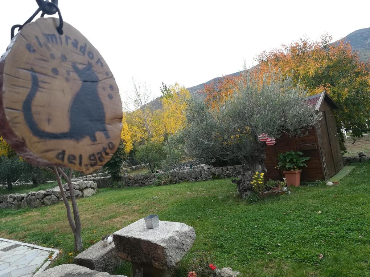 El Mirador Del Gato I Y II Villa Mesegar de Corneja Bagian luar foto