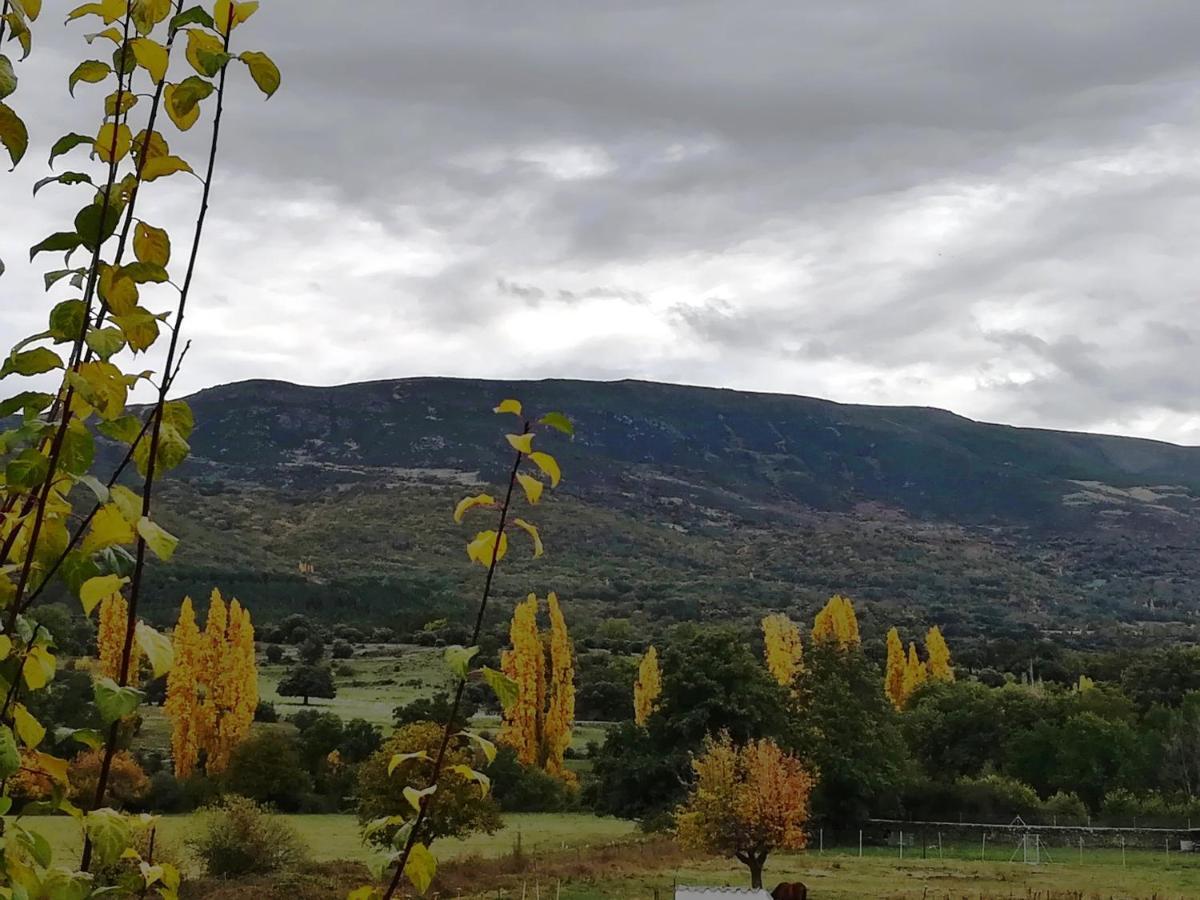 El Mirador Del Gato I Y II Villa Mesegar de Corneja Bagian luar foto